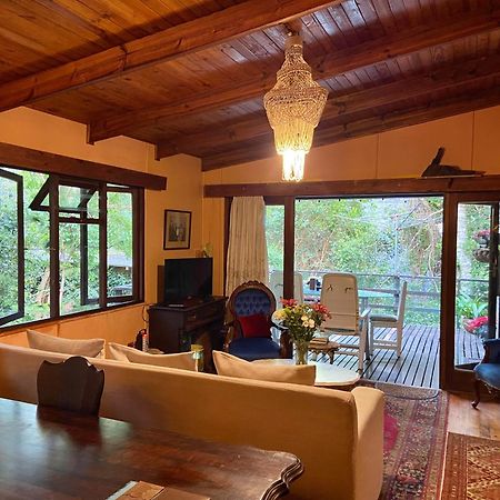 Nature'S Valley Health Retreat A Hide Away In The Forest Natureʼs Valley Exterior foto