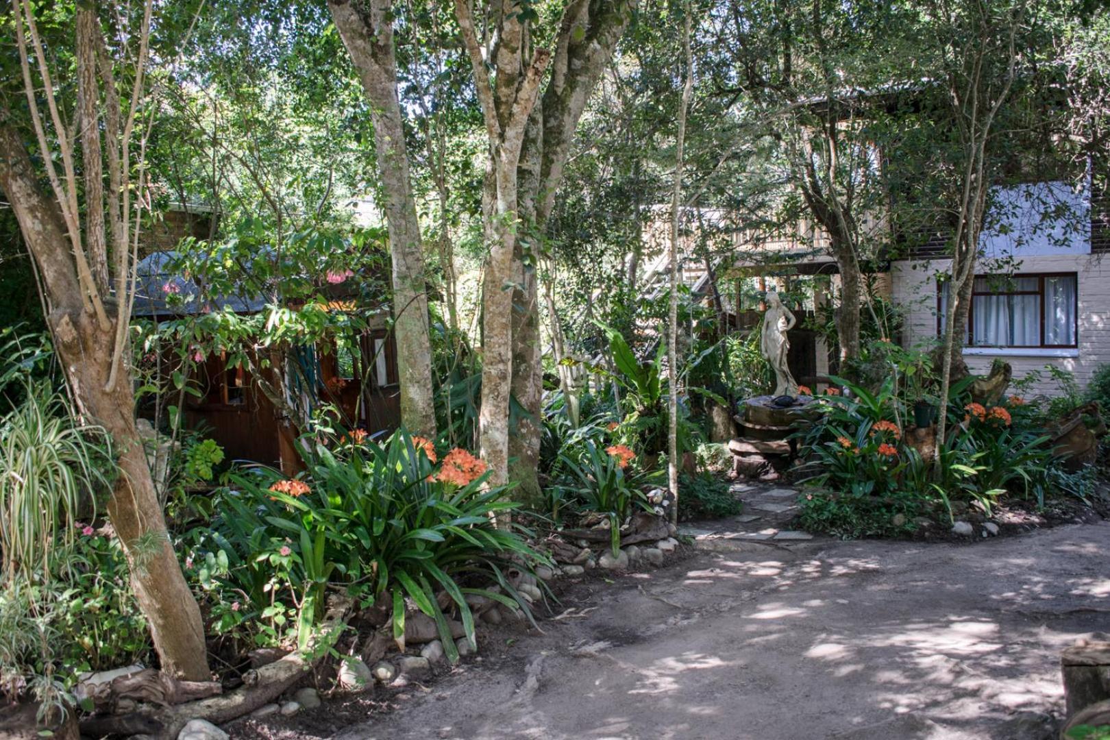 Nature'S Valley Health Retreat A Hide Away In The Forest Natureʼs Valley Exterior foto