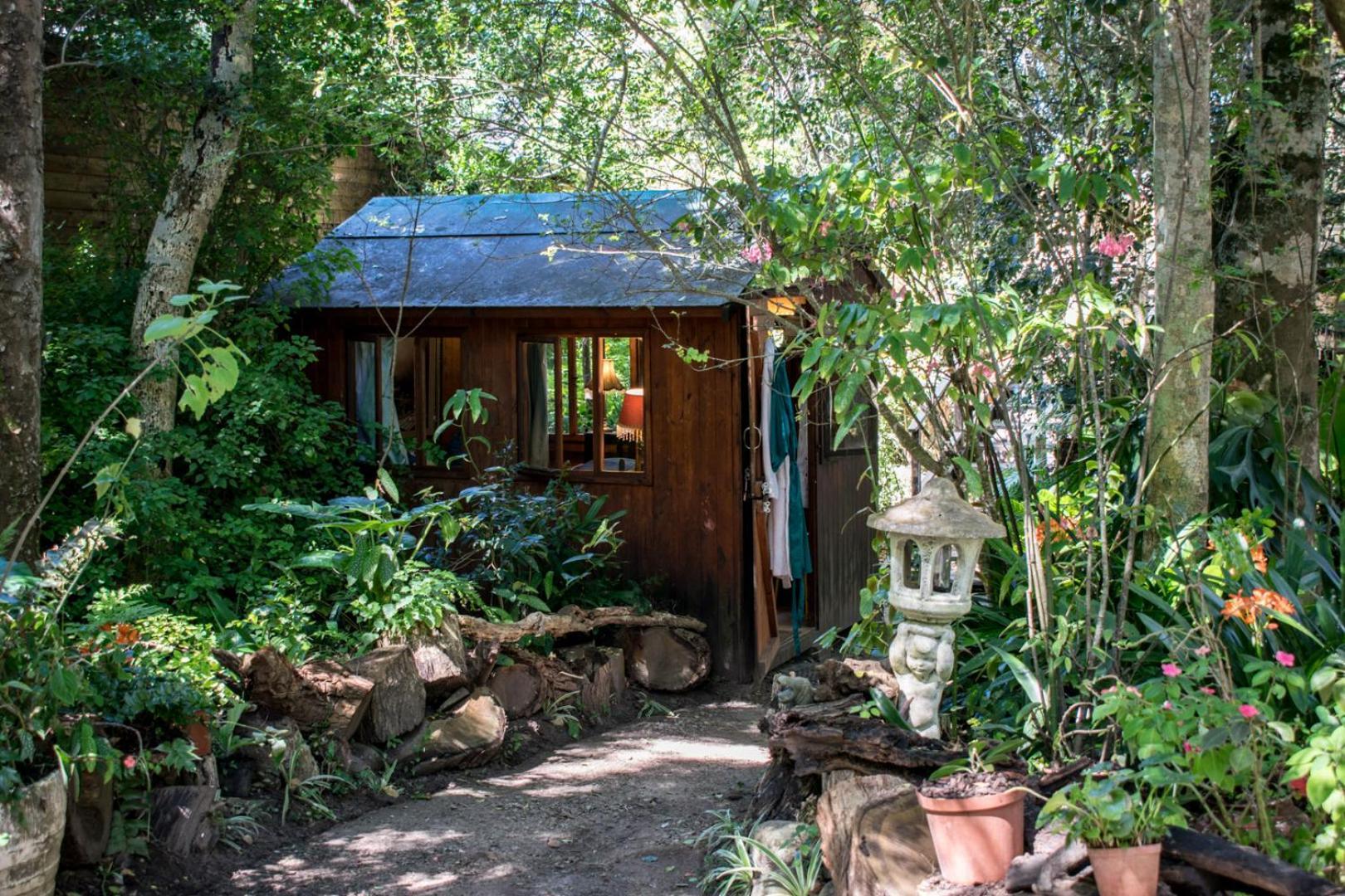 Nature'S Valley Health Retreat A Hide Away In The Forest Natureʼs Valley Exterior foto