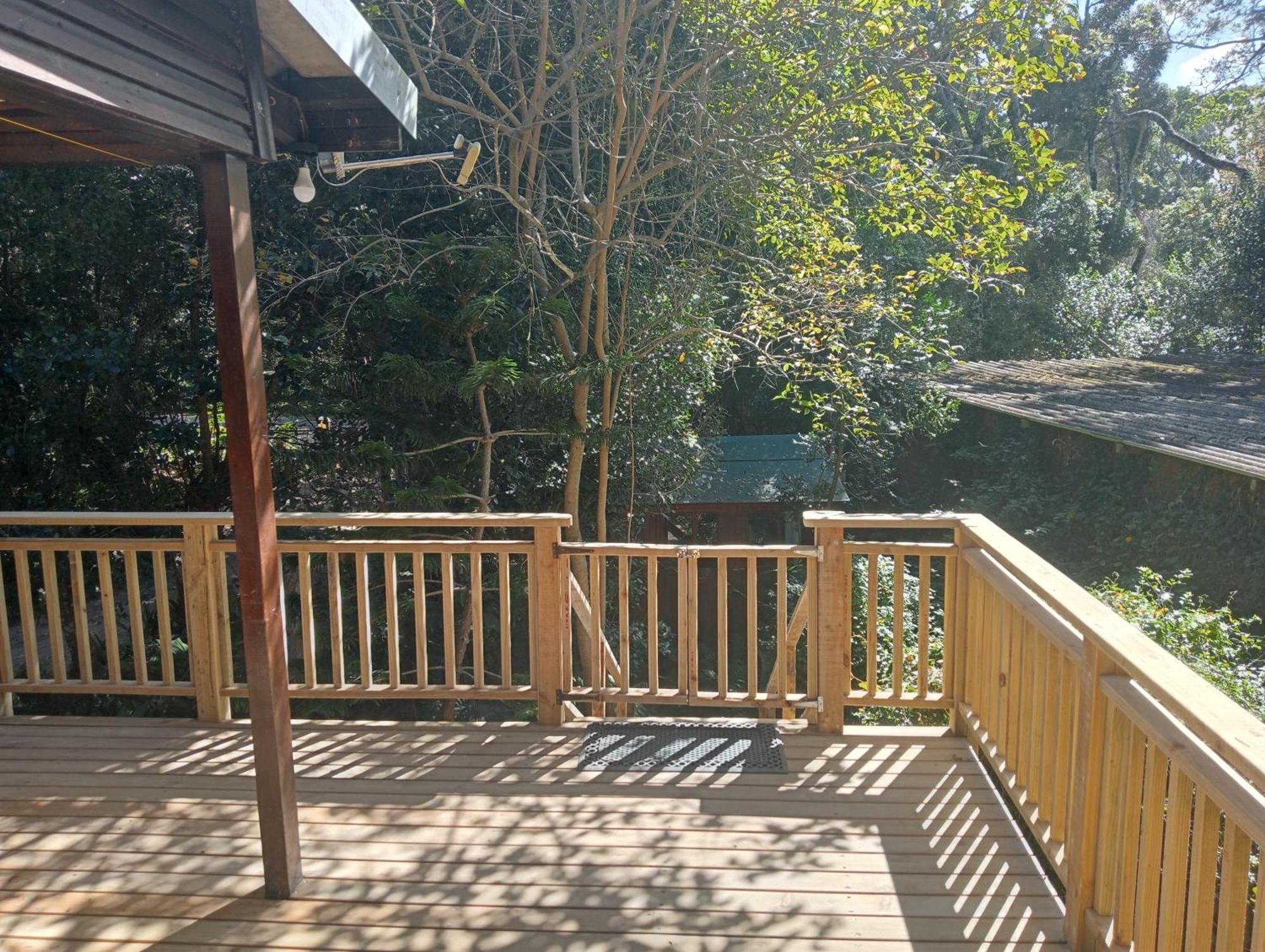 Nature'S Valley Health Retreat A Hide Away In The Forest Natureʼs Valley Exterior foto