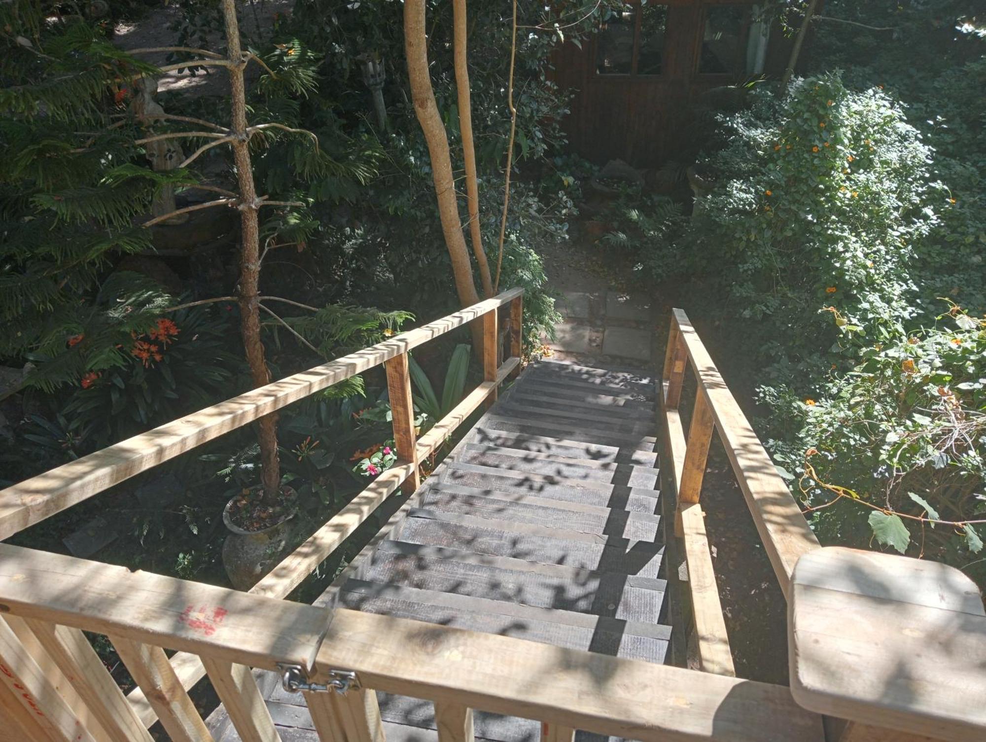 Nature'S Valley Health Retreat A Hide Away In The Forest Natureʼs Valley Exterior foto