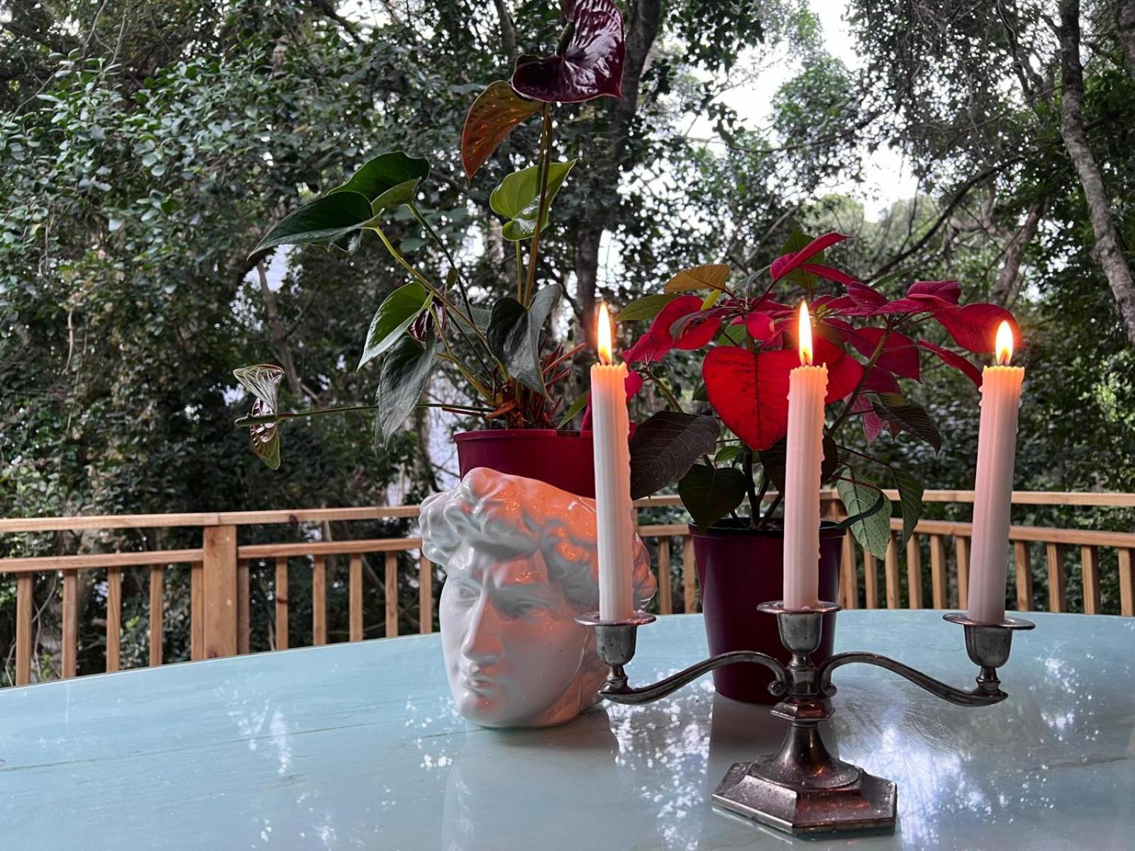 Nature'S Valley Health Retreat A Hide Away In The Forest Natureʼs Valley Exterior foto