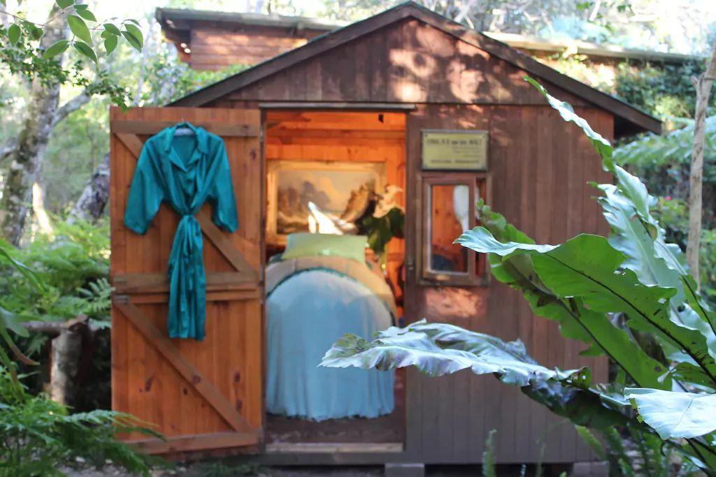 Nature'S Valley Health Retreat A Hide Away In The Forest Natureʼs Valley Exterior foto