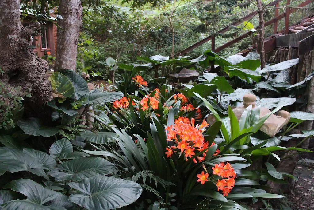 Nature'S Valley Health Retreat A Hide Away In The Forest Natureʼs Valley Exterior foto