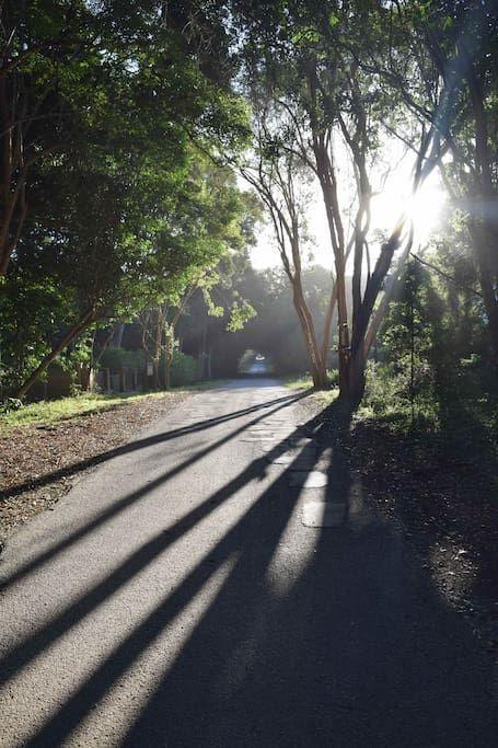 Nature'S Valley Health Retreat A Hide Away In The Forest Natureʼs Valley Exterior foto
