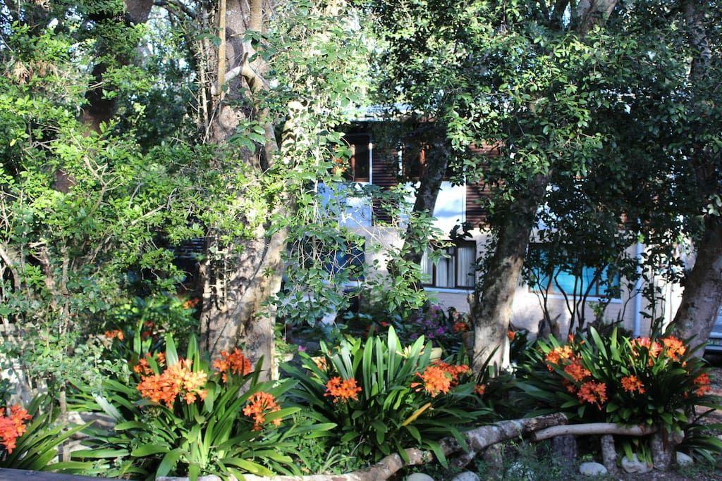 Nature'S Valley Health Retreat A Hide Away In The Forest Natureʼs Valley Exterior foto